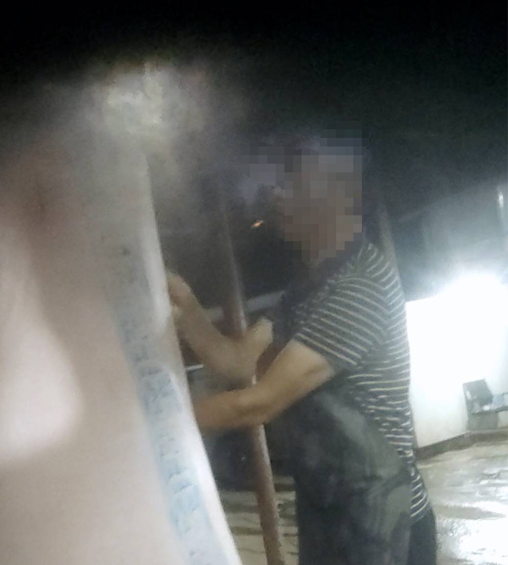 暗访生猪黑屠宰点：无证窝点被封后重新开张，无检疫猪肉跨省销售