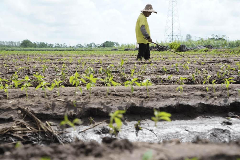 村镇导演追三个超强台风 拍下被遗忘的农民