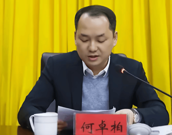 何卓柏,严重违纪违法