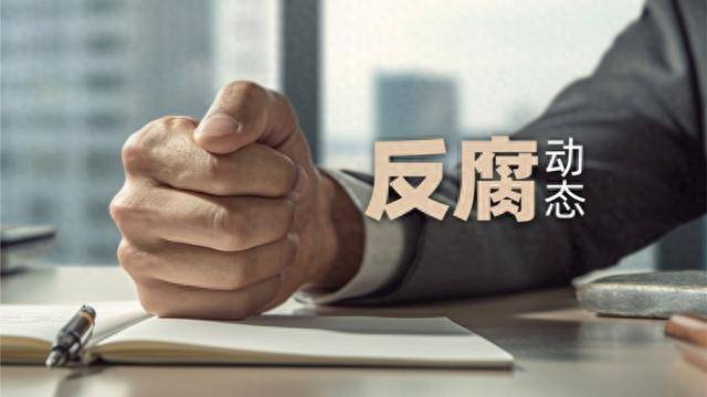 驻马店市人大常委会原党组副书记、副主任贾迎战被查