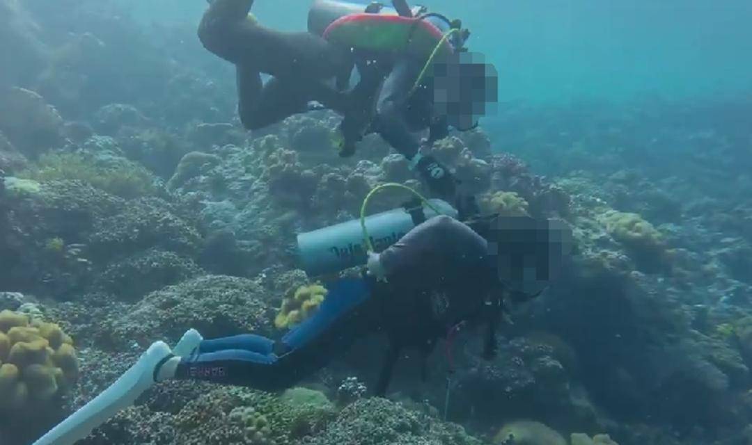 紫牛热点｜网传一潜水员水下关闭他人气瓶？国际专业潜水教练协会回应：正配合有关部门调查核实