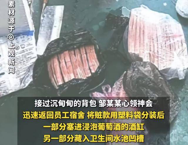 儿子偷32万元现金途中出车祸，亲妈帮藏赃款，双双获刑