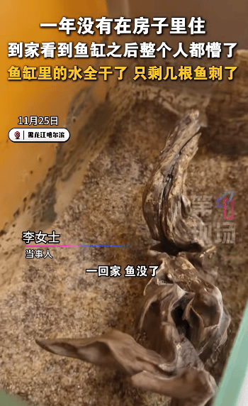 哈尔滨女子离家一年回家发现“活鱼变鱼刺”