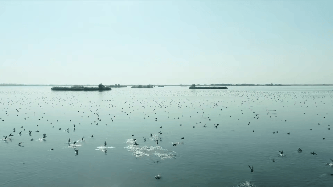 【文旅融合】盐都五旅融合 释放发展活力