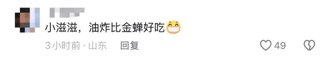 山东济南一广场突现“知了大军”密密麻麻，网友留言“你们咋不吃”