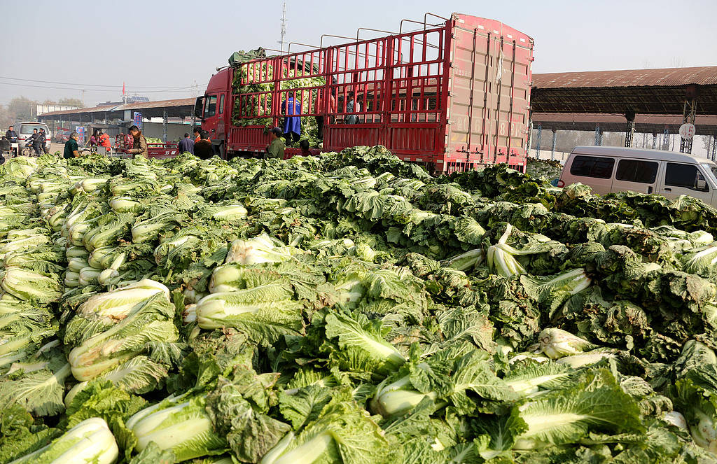 大白菜蘸甲醛只为省2000块运费？监管漏洞该补上了